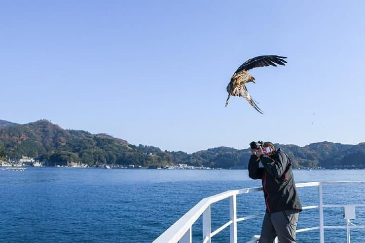 Amanohashidate and Ine Boathouses Day Trip from Kyoto and Osaka — photo 7