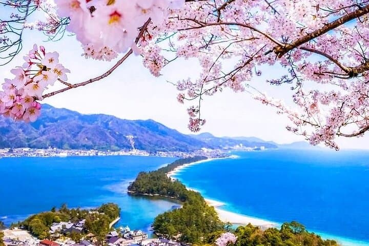 Amanohashidate and Ine Boathouses Day Trip from Kyoto and Osaka — photo 8