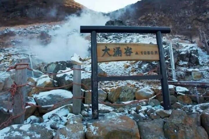 Mt. Fuji Hakone Ropeway and Oshino Hakkai Day Tour — photo 4