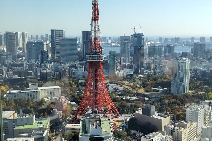 Private Chartered-Taxi Tokyo Tour with Certified Japanese guide — photo 8