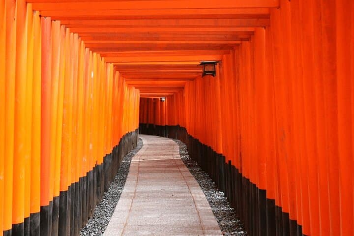Kyoto Highlights Small Group Minivan Tour from Kyoto Station — photo 4