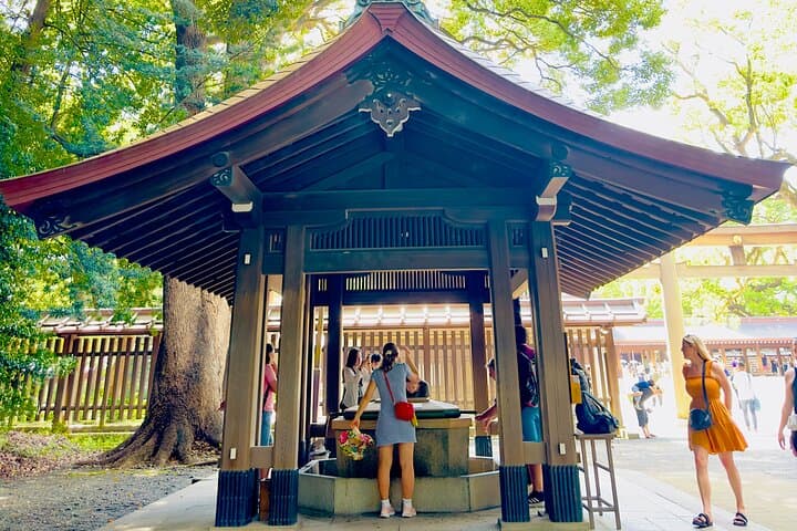 Tokyo private tour with English speaking driver — photo 8