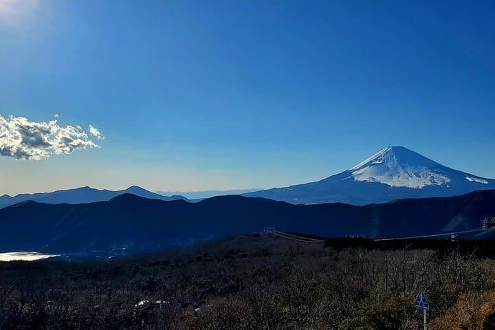 Mt Fuji & Hakone Private Tour from Tokyo: Return by Bullet Train — photo 11