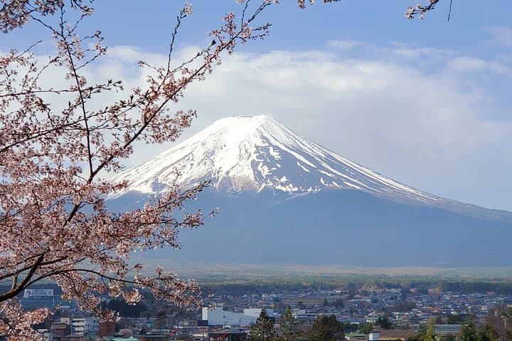 Mt Fuji & Hakone Private Tour from Tokyo: Return by Bullet Train — photo 3