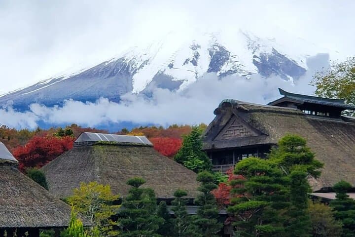 Mt Fuji & Hakone Private Tour from Tokyo: Return by Bullet Train — photo 16