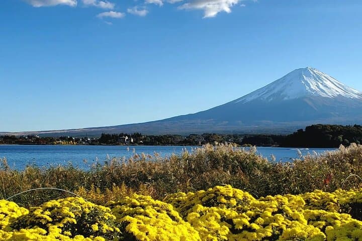 Mt Fuji & Hakone Private Tour from Tokyo: Return by Bullet Train — photo 13