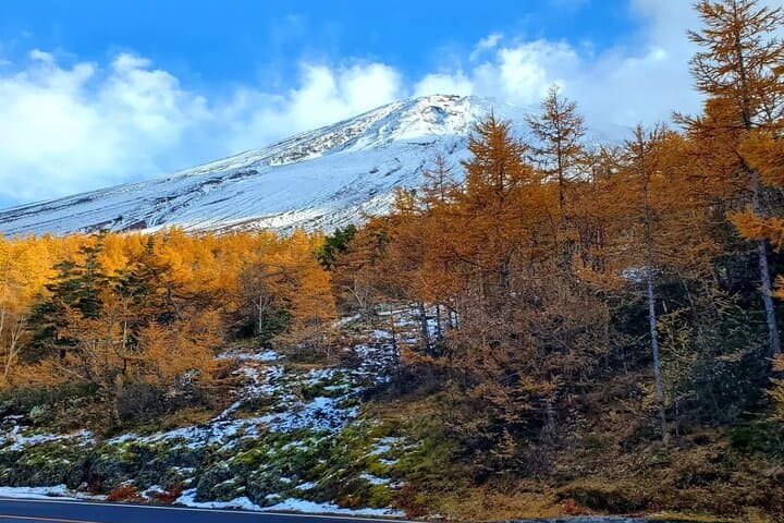 Mt Fuji & Hakone Private Tour from Tokyo: Return by Bullet Train — photo 15