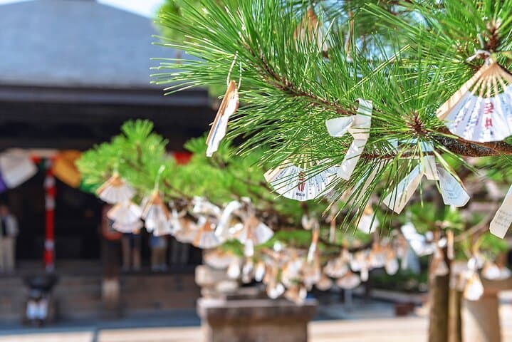 Amanohashidate & Ine Boathouse Full-Day Tour from Kyoto or Osaka — photo 7