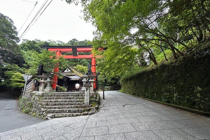 (4hours)Zero Emission Car Private Kyoto Tour with Japanese Guide — photo 2