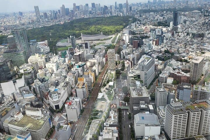 Private Custom Tokyo Tour with a Tokyo Resident Pro Guide By Car — photo 8