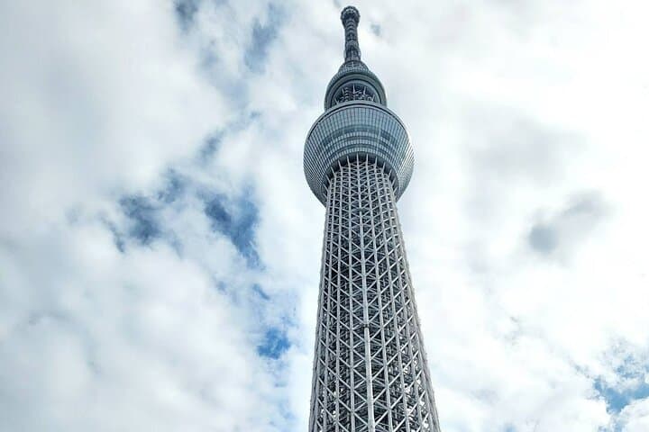 Private Custom Tokyo Tour with a Tokyo Resident Pro Guide By Car — photo 10