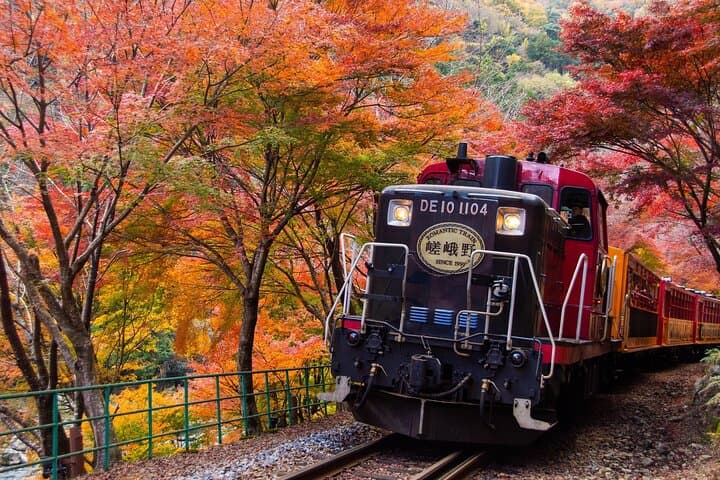 Kyoto Hozugawa River Boat Sagano Romantic Train Arashiyama Tour — photo 6