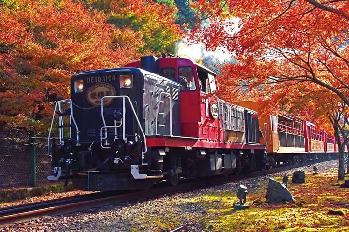 Kyoto Hozugawa River Boat Sagano Romantic Train Arashiyama Tour — photo 8