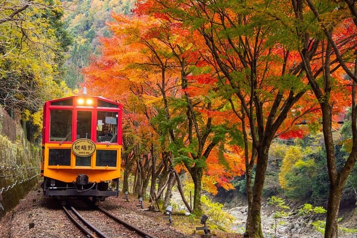 Kyoto Hozugawa River Boat Sagano Romantic Train Arashiyama Tour — photo 7