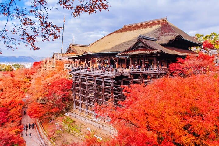 Kyoto and Nara UNESCO Highlights Full-day Tour From Osaka — photo 9