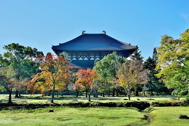 Kyoto and Nara UNESCO Highlights Full-day Tour From Osaka — photo 13