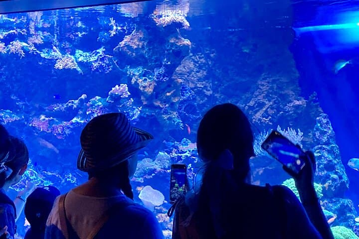 Tokyo : Aquarium Backyard Tour and Tokyo View Observatory — photo 13