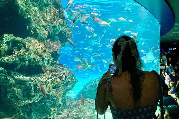 Tokyo : Aquarium Backyard Tour and Tokyo View Observatory — photo 3