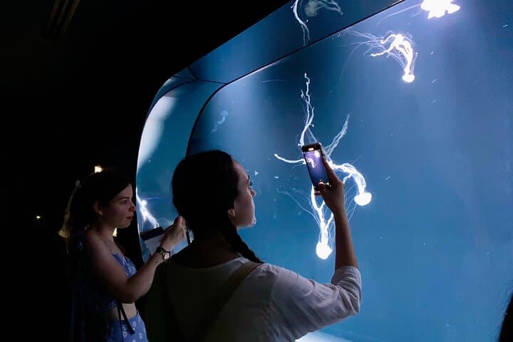 Tokyo : Aquarium Backyard Tour and Tokyo View Observatory — photo 11