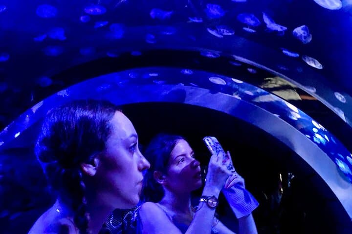 Tokyo : Aquarium Backyard Tour and Tokyo View Observatory — photo 5