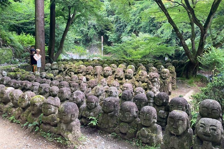 West Kyoto & Arashiyama: In-Depth 1-Day Cultural Tour — photo 13