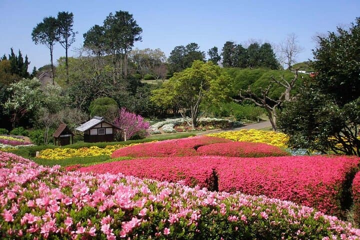 Colors of Japan, Fukuoka Nokonoshima Island Park & Wagyu BBQ — photo 5
