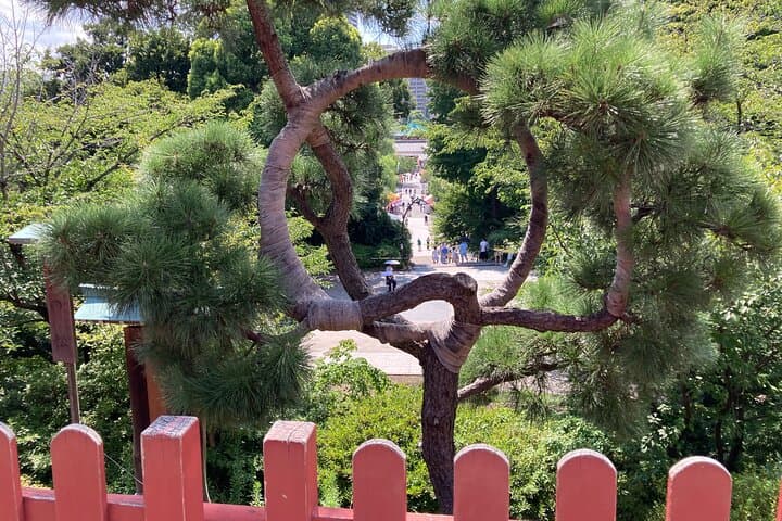 Ueno Park&Tokyo National Museum Private Tour (Ukiyo-e focus) — photo 9