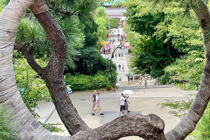 Ueno Park&Tokyo National Museum Private Tour (Ukiyo-e focus) — photo 7