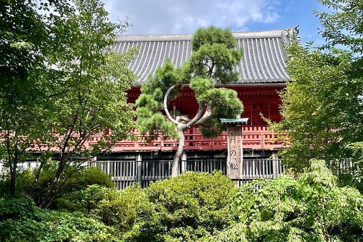 Ueno Park&Tokyo National Museum Private Tour (Ukiyo-e focus) — photo 12
