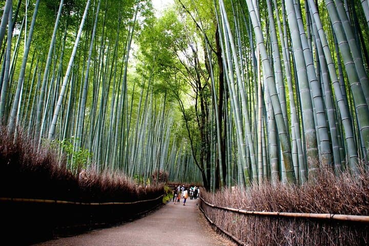 Yu's Personalized Kyoto Tour with Photo: Samurai/Geisha History — photo 9