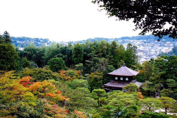 Yu's Personalized Kyoto Tour with Photo: Samurai/Geisha History — photo 12