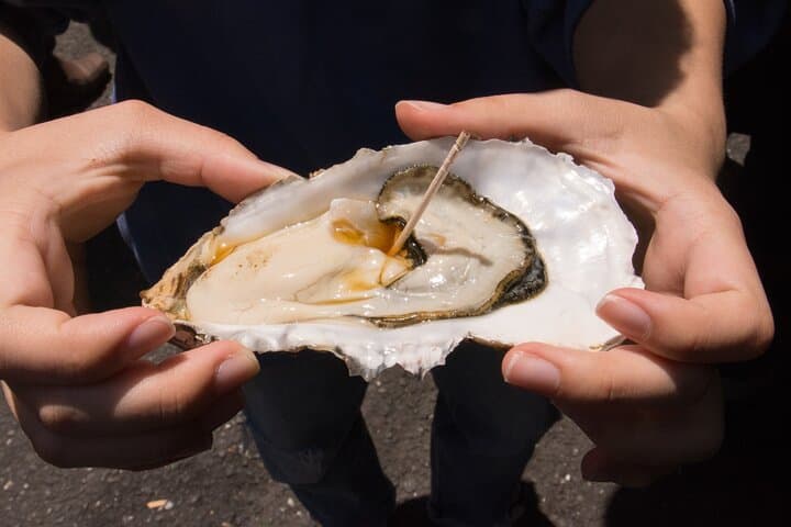 Tokyo Tsukiji Fish Market Private Food Tour — photo 19