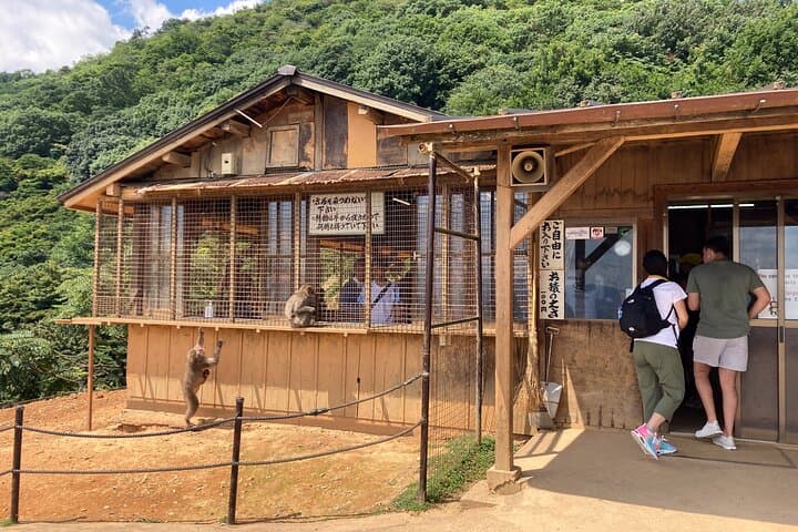 West Kyoto & Arashiyama: In-Depth 1-Day Cultural Tour — photo 5