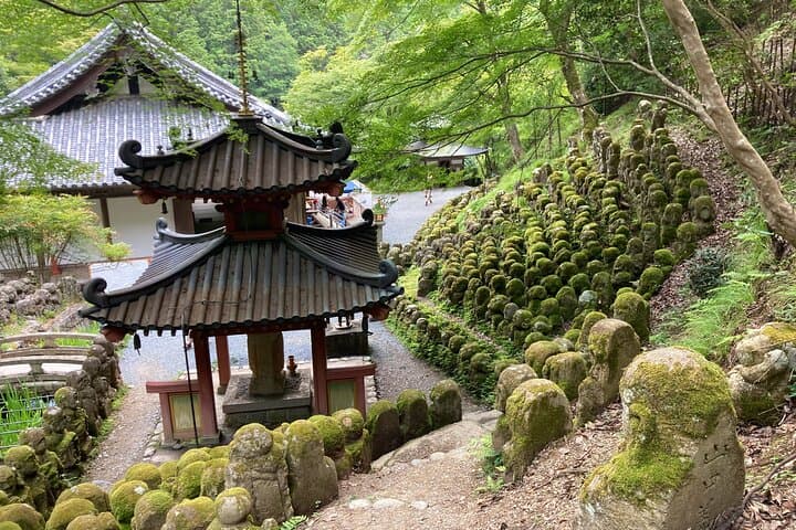 West Kyoto & Arashiyama: In-Depth 1-Day Cultural Tour — photo 15