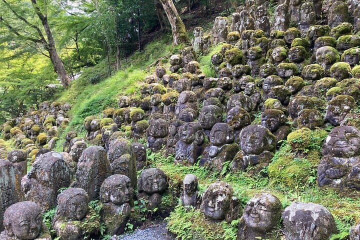 West Kyoto & Arashiyama: In-Depth 1-Day Cultural Tour — photo 17