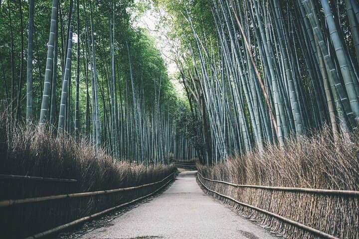 West Kyoto & Arashiyama: In-Depth 1-Day Cultural Tour — photo 11