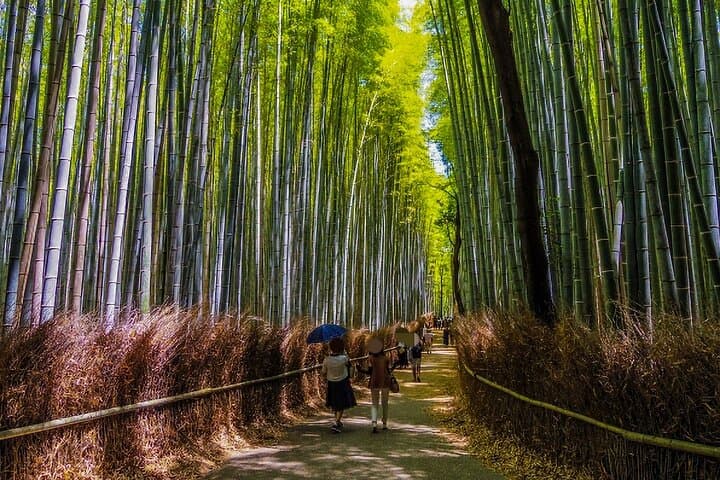 West Kyoto & Arashiyama: In-Depth 1-Day Cultural Tour — photo 12