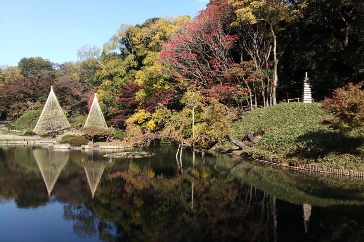 Private Tour of Tokyo with a French-Speaking Guide — photo 3