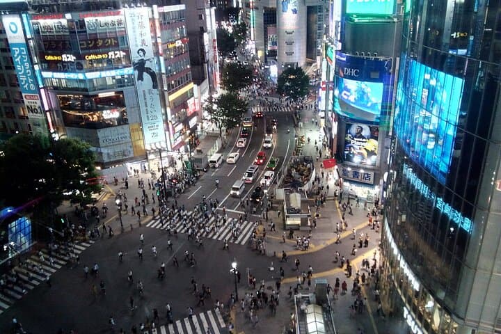 Private Tour of Tokyo with a French-Speaking Guide — photo 4