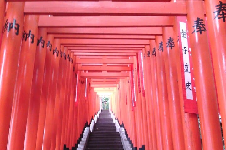 Private Tour of Tokyo with a French-Speaking Guide — photo 5