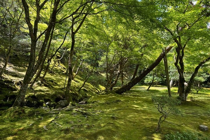 Kyoto: Discover Every Bit of Ginkakuji Temple in 60 Minutes — photo 10