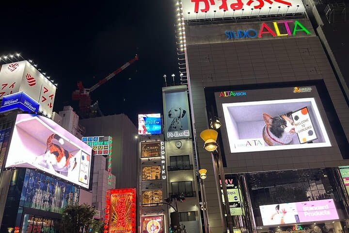Tokyo Private City Tour — photo 2