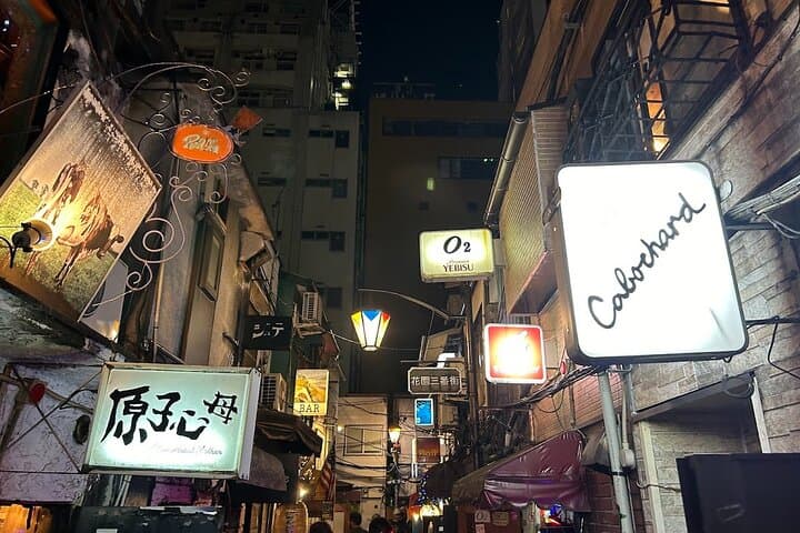 Tokyo Private City Tour — photo 7