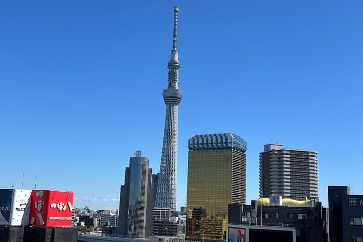 Tokyo Private City Tour — photo 14