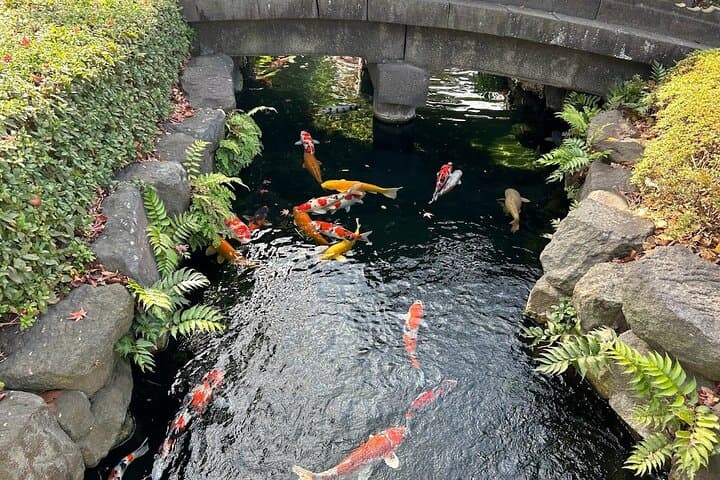 Tokyo Private City Tour — photo 17