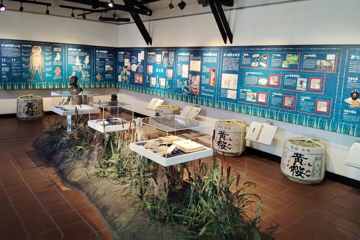 Kyoto: Fushimi Sake Brewery Tour - 18 Tastings in 2.5 Hours — photo 10