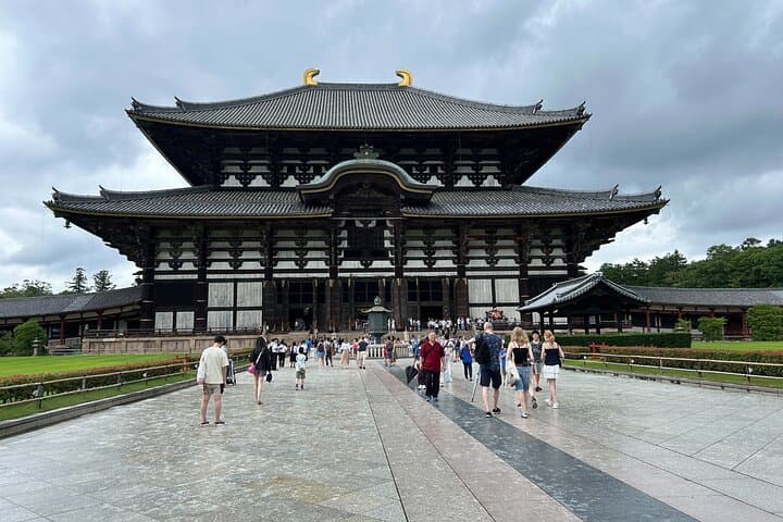 No Emission Car Nara Private Tour from Kyoto with Japanese Guide — photo 2