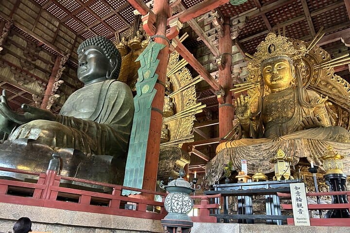 No Emission Car Nara Private Tour from Kyoto with Japanese Guide — photo 4