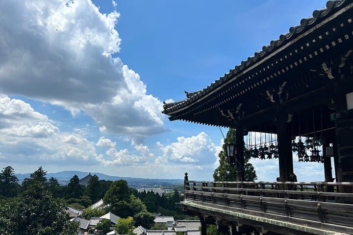 No Emission Car Nara Private Tour from Kyoto with Japanese Guide — photo 5