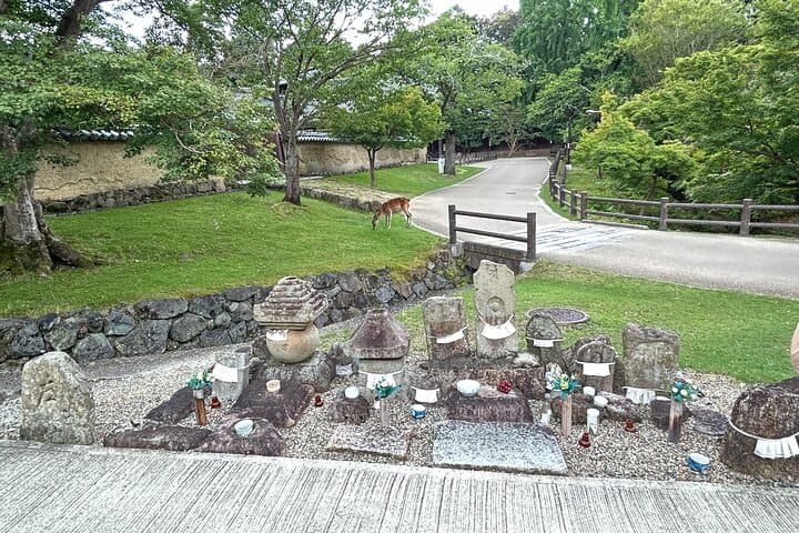 No Emission Car Nara Private Tour from Kyoto with Japanese Guide — photo 6